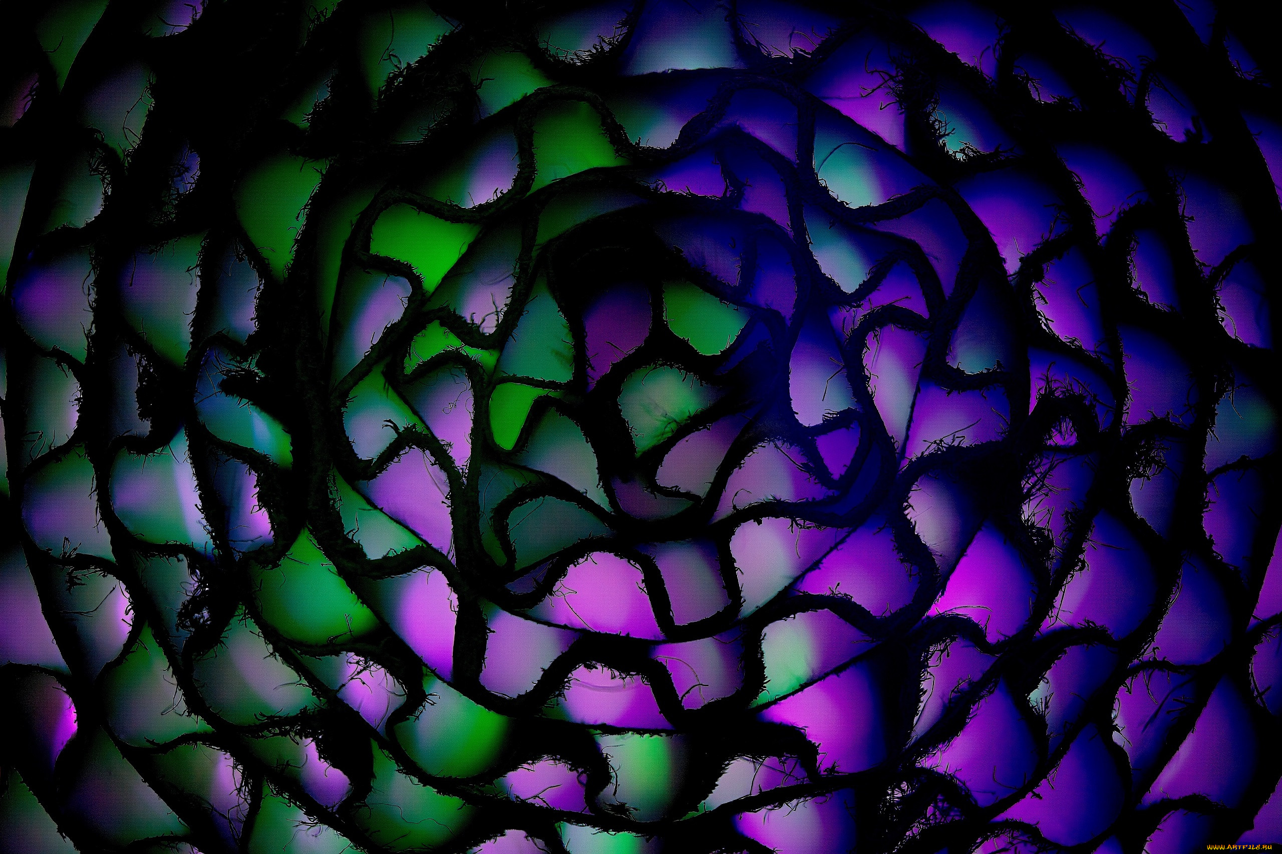 3� �������, �������� , fractal, ����